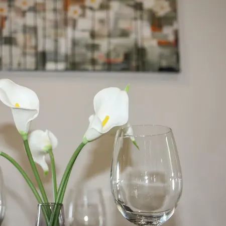 Apartman Dream *